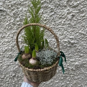 Christmas basket planter